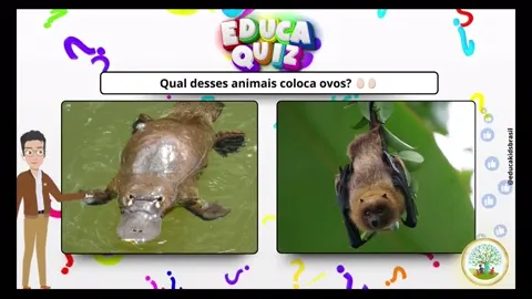 EducaQuiz Infantil 4 Animais Misteriosos e Sua