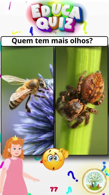 Abelha ou Aranha, Quem tem mais Olhos Descubra