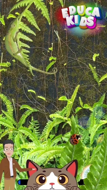 Desafio Encontre os Animais Camuflados 02! 🌿