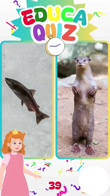 Descubra qual animal nada contra a correnteza p