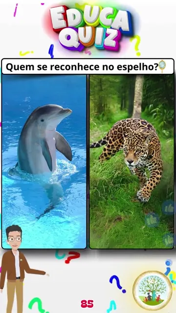 Golfinhos ou Onças Qual Animal se Reconhece no