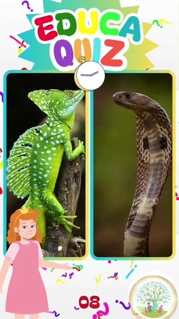 Qual Animal Consegue Andar Sobre a Água Descub