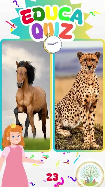 Qual Animal é o Mais Rápido em Terra 🐴🐆 Ed