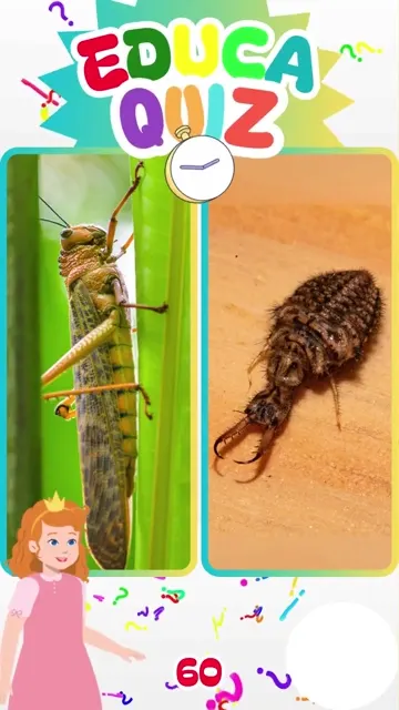 Qual Animal Faz Armadilhas para Capturar suas P