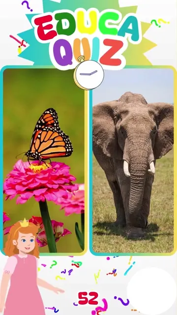 Qual animal faz uma das migrações mais longas d