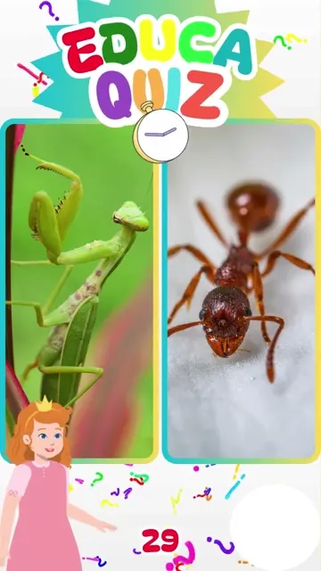 Qual Animal Levanta 50 Vezes o Seu Próprio Peso