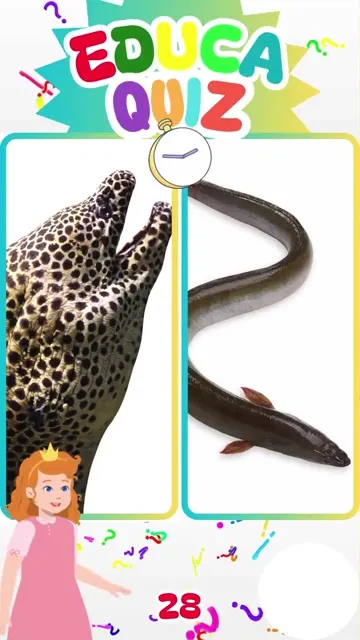 Qual Animal Pode Gerar um Choque Elétrico ⚡🐟