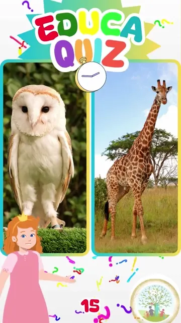 Qual Animal Pode Girar a Cabeça Quase 360 Graus