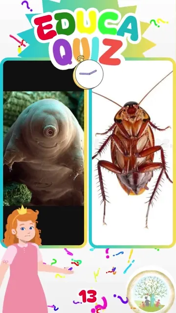 Qual Animal Pode Sobreviver no Espaço 🌌 Edu
