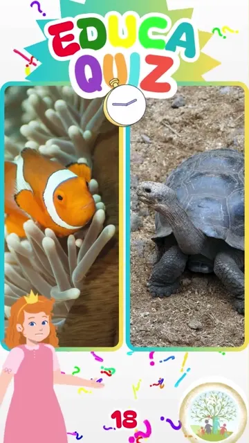 Qual Animal Pode Viver Mais de 100 Anos 🐢 E