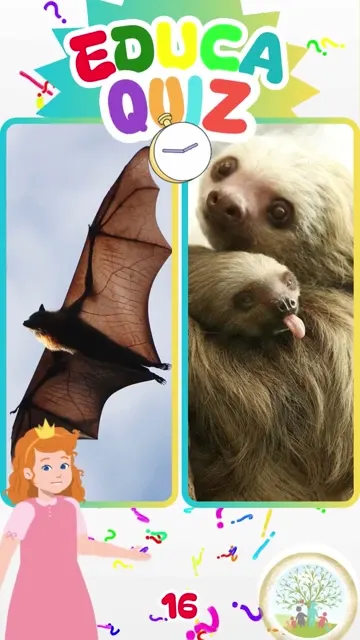 Qual Animal Quase Sempre Dorme de Cabeça para B