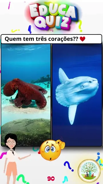 Qual Animal Tem 3 Corações Descubra no Educaqu