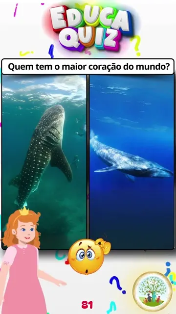 Qual Animal Tem o Maior Coração do Mundo Tub