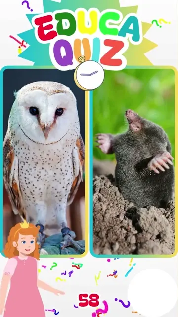 Qual Animal Usa Mais o Cheiro do que a Visão E