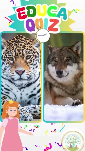 Qual Animal Vive em Grandes Grupos 🐺🐆 34 @ed