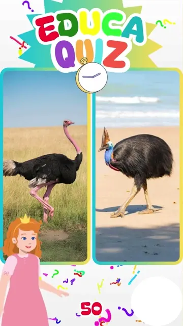 Qual ave bota o maior ovo do mundo 🐦🥚 EducaQ