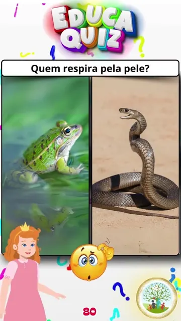Qual Desses Animais Consegue Respirar Pela Pele