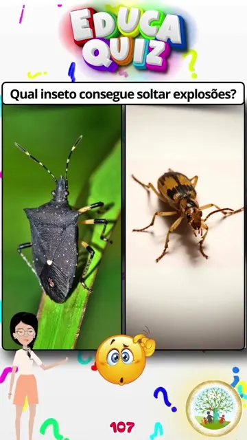 Qual É o Besouro Que Faz Explosões Descubra
