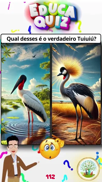Qual é o Verdadeiro Tuiuiú do Pantanal