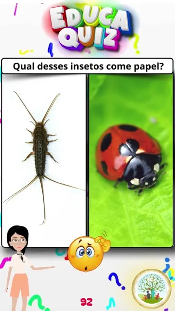 Qual Inseto Come Papel Descubra com o Educaqui