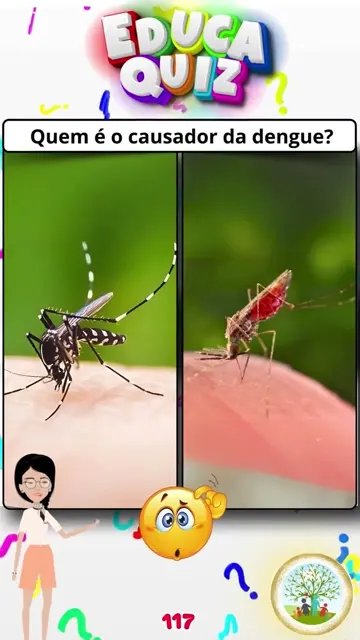 Qual Mosquito é o Causador da Dengue Descubra