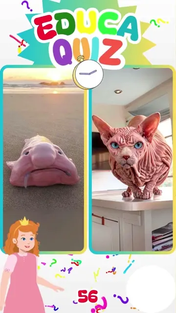 Qual o animal Mais Feio do Mundo Descubra ago