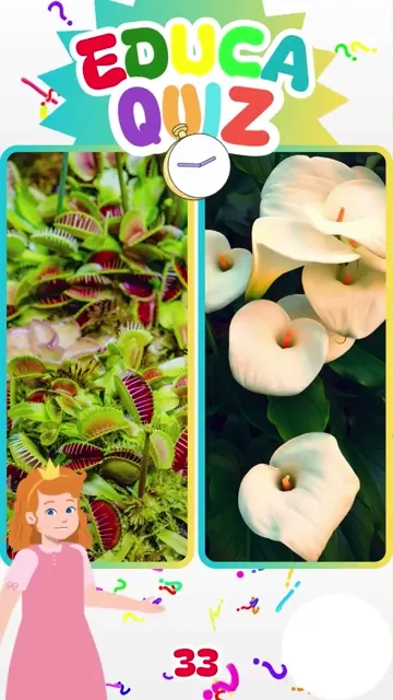 Qual Planta é Carnívora 🌱 Educa Quiz 33 #