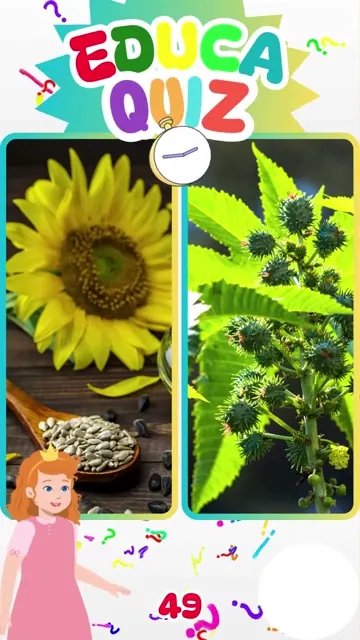 Qual planta tem sementes perigosas para comer