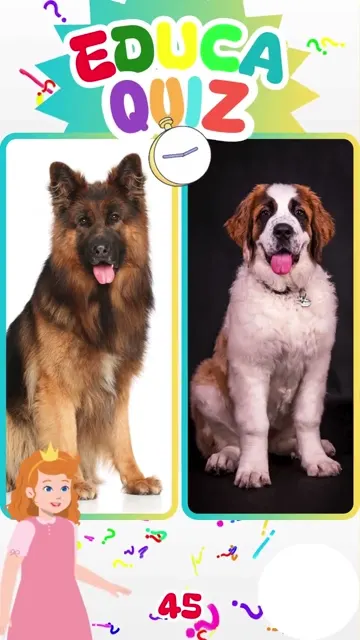 Qual Raça de Cão é Usada em Resgates nas Montan