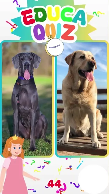 Qual Raça Tem os Cães Mais Altos do Mundo 🐕🏆