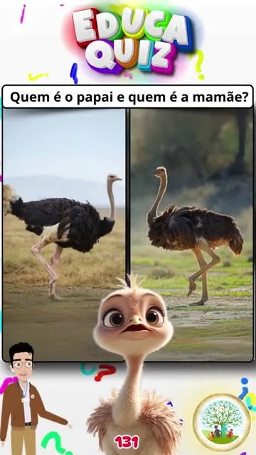 Quem é o Papai e a Mamãe Avestruz Quiz Educa