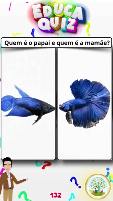 Quem é o Papai e a Mamãe Peixe-Béta Quiz Inf