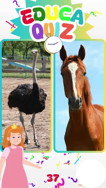 Você sabe qual animal dorme em pé Descubra ago
