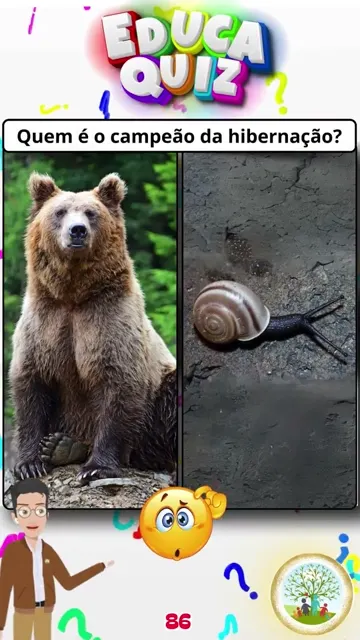 Você Sabia que Existem Animais que Dormem por A